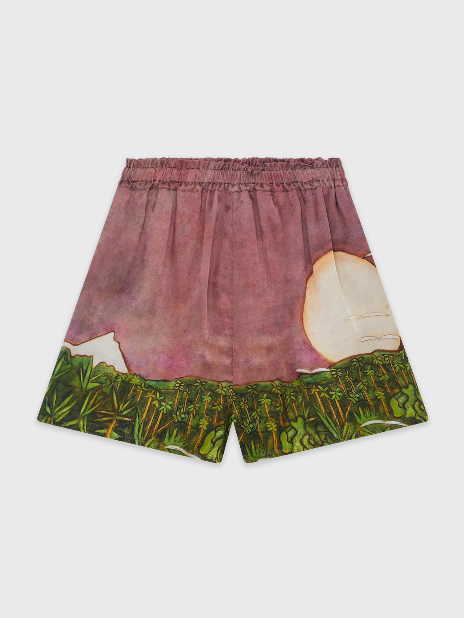 La Sierra Silk Mini Shorts