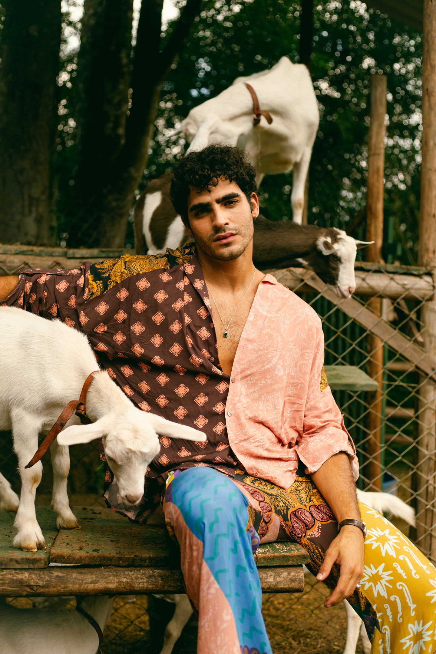 Brown Estrellitas Long Sleeve Shirt