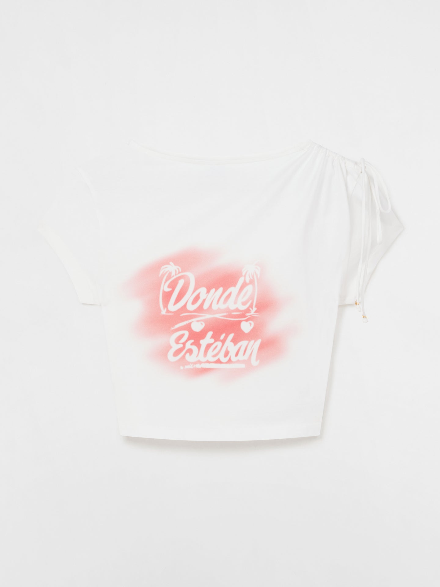 Bazurto Spray Crop Top